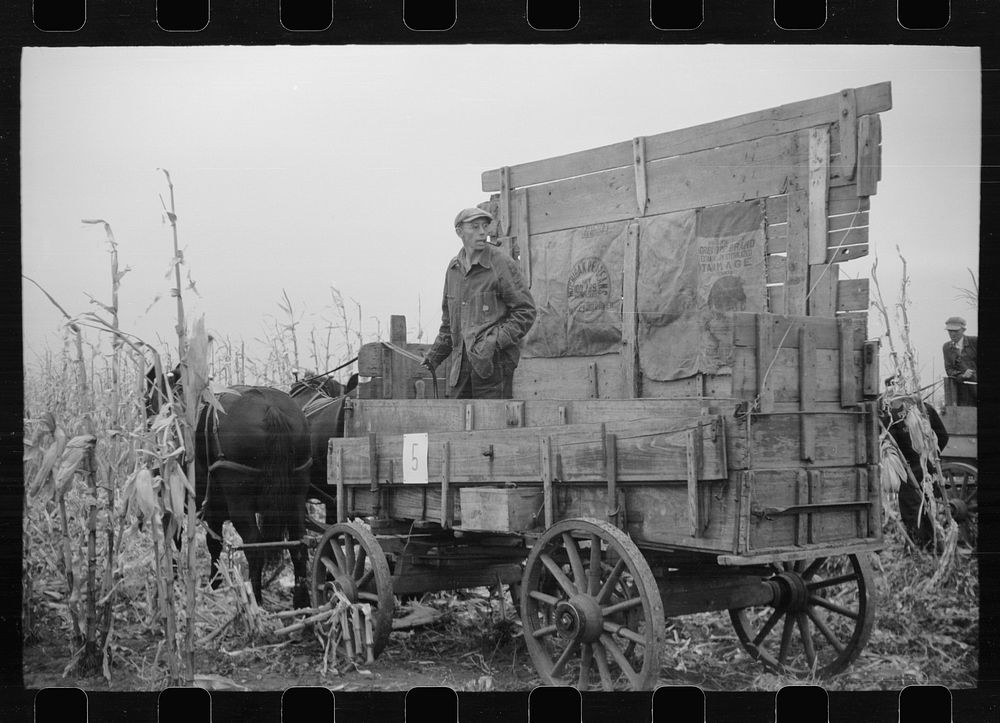 Wagon with extra-high bangboard used in cornhusking contest, Marshall County, Iowa. Sourced from the Library of Congress.