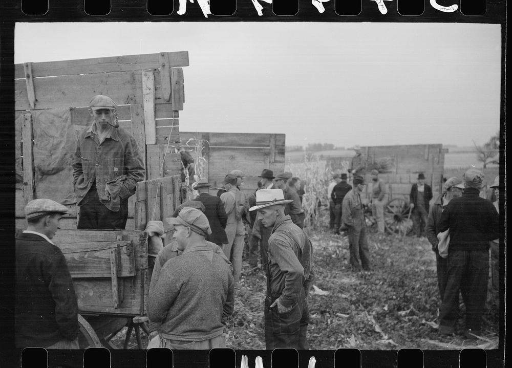 [Untitled photo, possibly related to: Spectators at cornhusking contest, Marshall County, Iowa]. Sourced from the Library of…