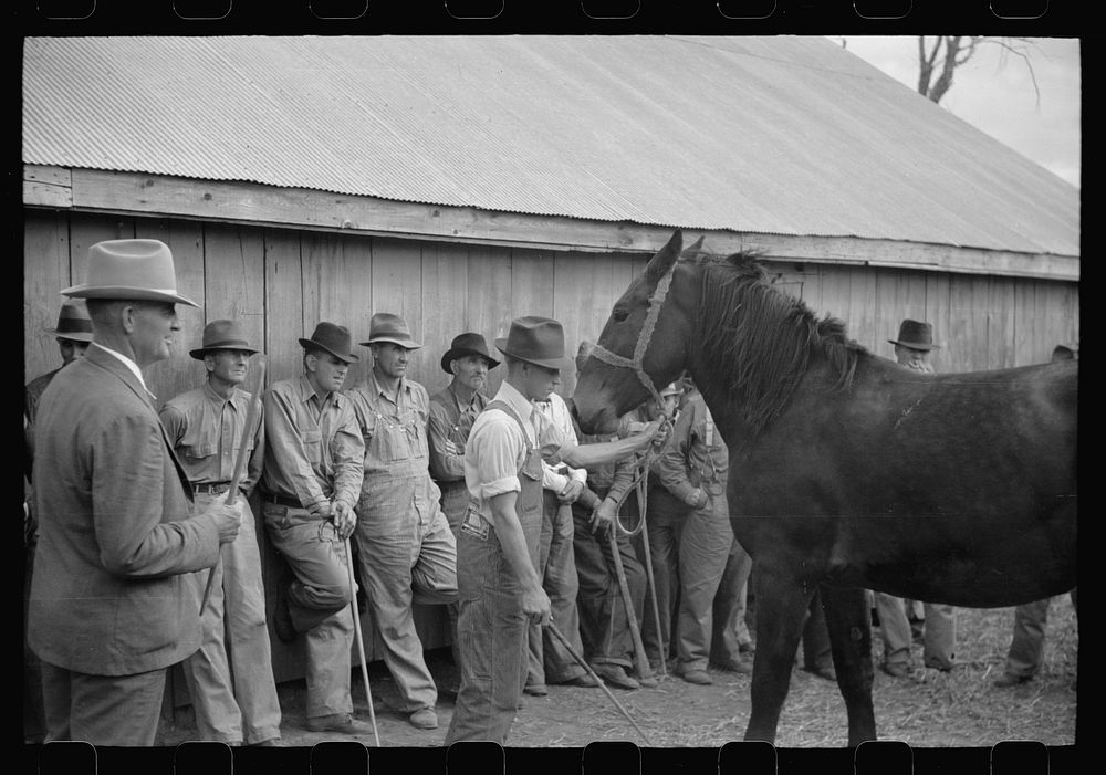 Auctioneers, buyers, and farmer with horse, farm sale, Pettis County, Missouri. Sourced from the Library of Congress.
