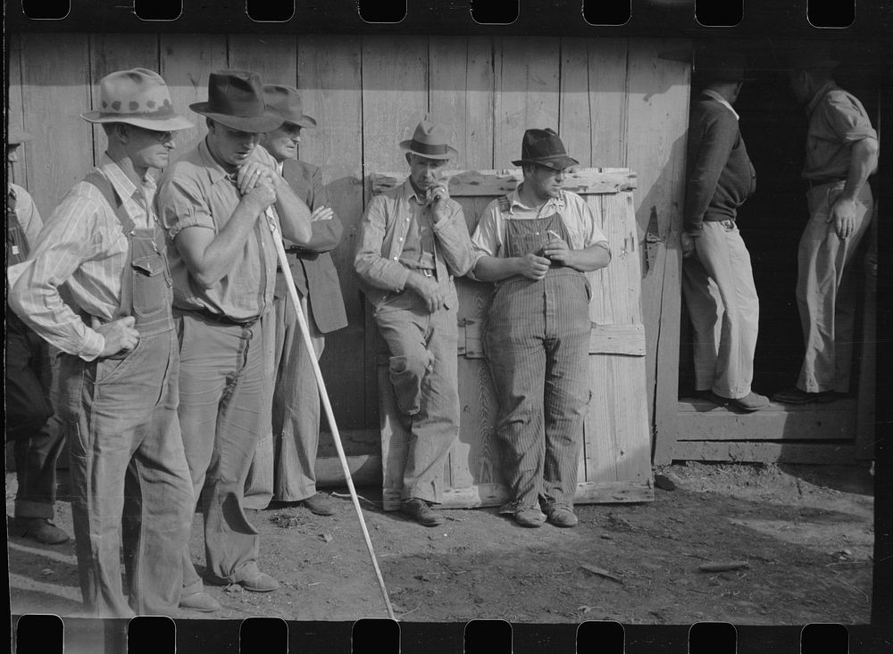 Farmer's neighbors who have come to buy livestock and equipment at farm sale, Pettis County, Missouri. Sourced from the…