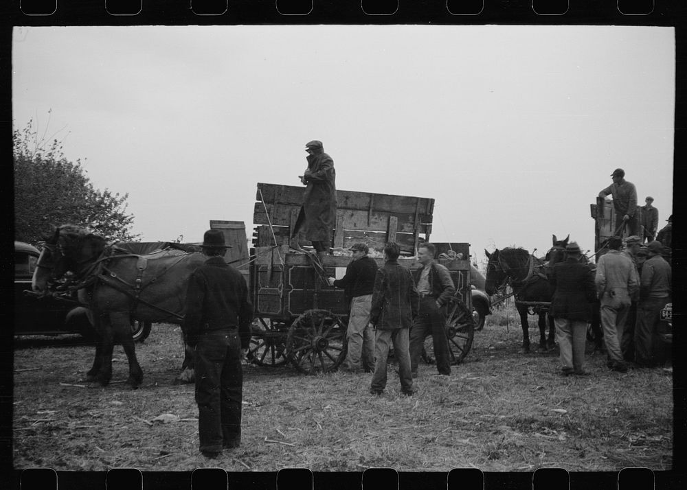 [Untitled photo, possibly related to: Wagon with extra-high bangboard used in cornhusking contest, Marshall County, Iowa].…