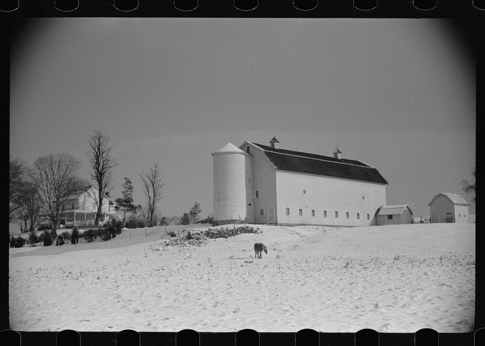 [Untitled photo, possibly related to: Farm, Orange County, New York]. Sourced from the Library of Congress.
