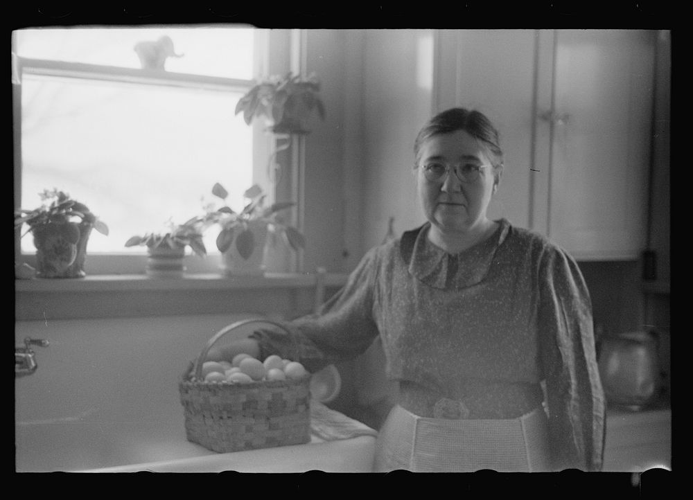 [Untitled photo, possibly related to: Mrs. Haubeil in her kitchen of her home, Ross County, Ohio]. Sourced from the Library…