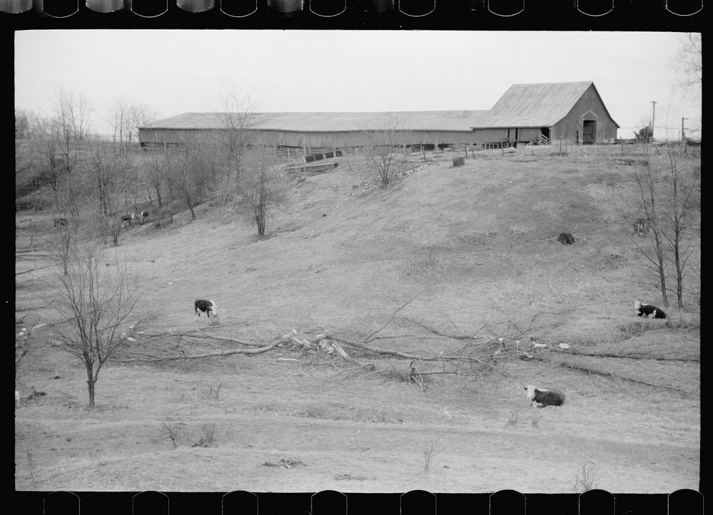 [Untitled photo, possibly related to: Farmer with water tank, Parke County, Indiana]. Sourced from the Library of Congress.