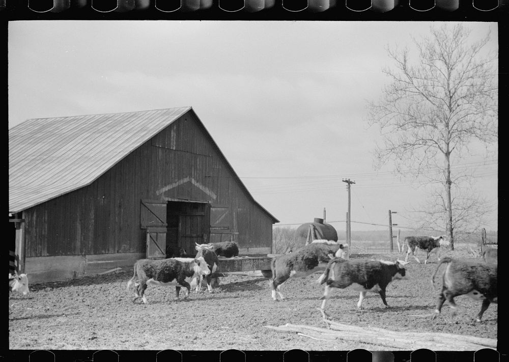 [Untitled photo, possibly related to: Farmer with water tank, Parke County, Indiana]. Sourced from the Library of Congress.