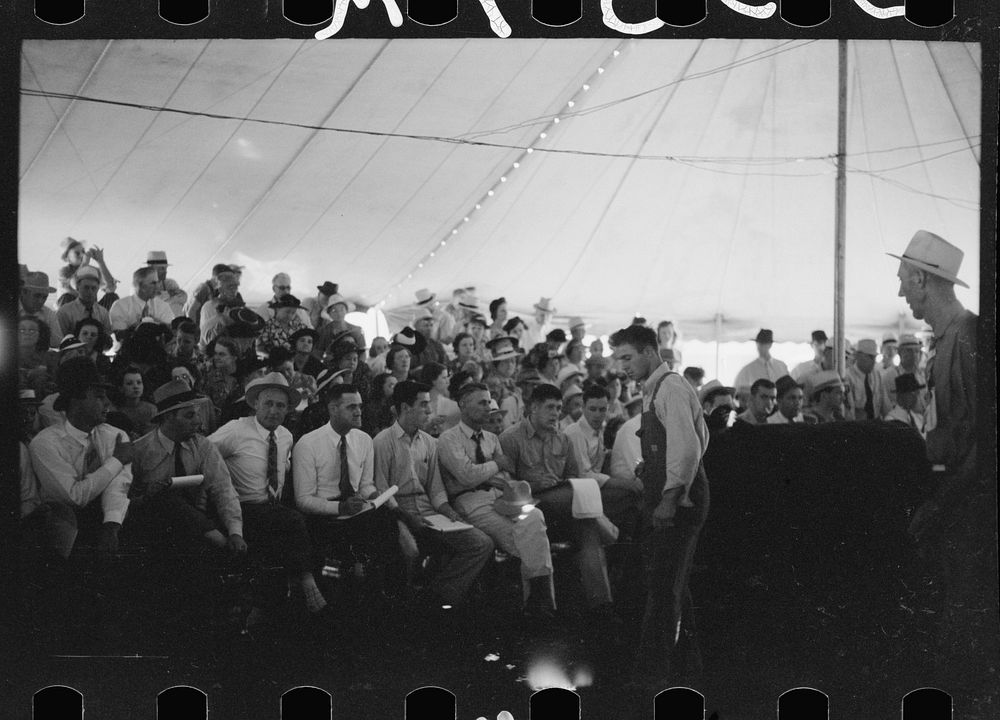 [Untitled photo, possibly related to: Auctioning off the prize baby beeves, Central Iowa 4-H Club fair, Marshalltown, Iowa].…
