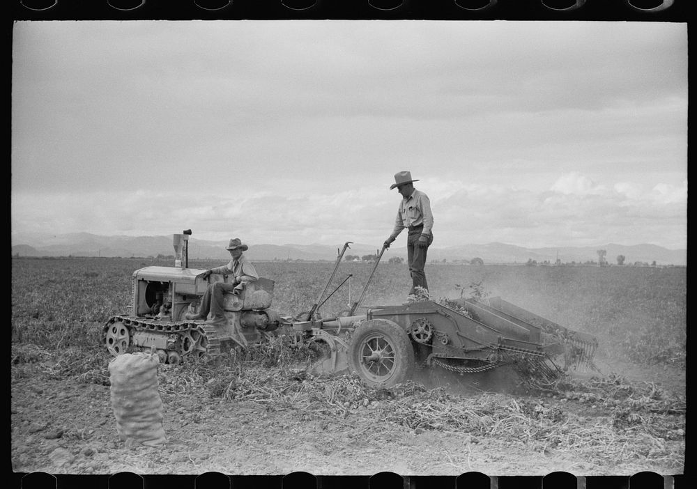 Potato digger, Rio Grande County, Colorado. Sourced from the Library of Congress.