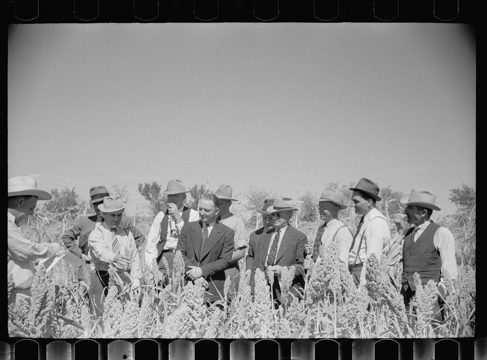 [Untitled photo, possibly related to: FSA (Farm Security Administration) county supervisor at farmers field day at United…