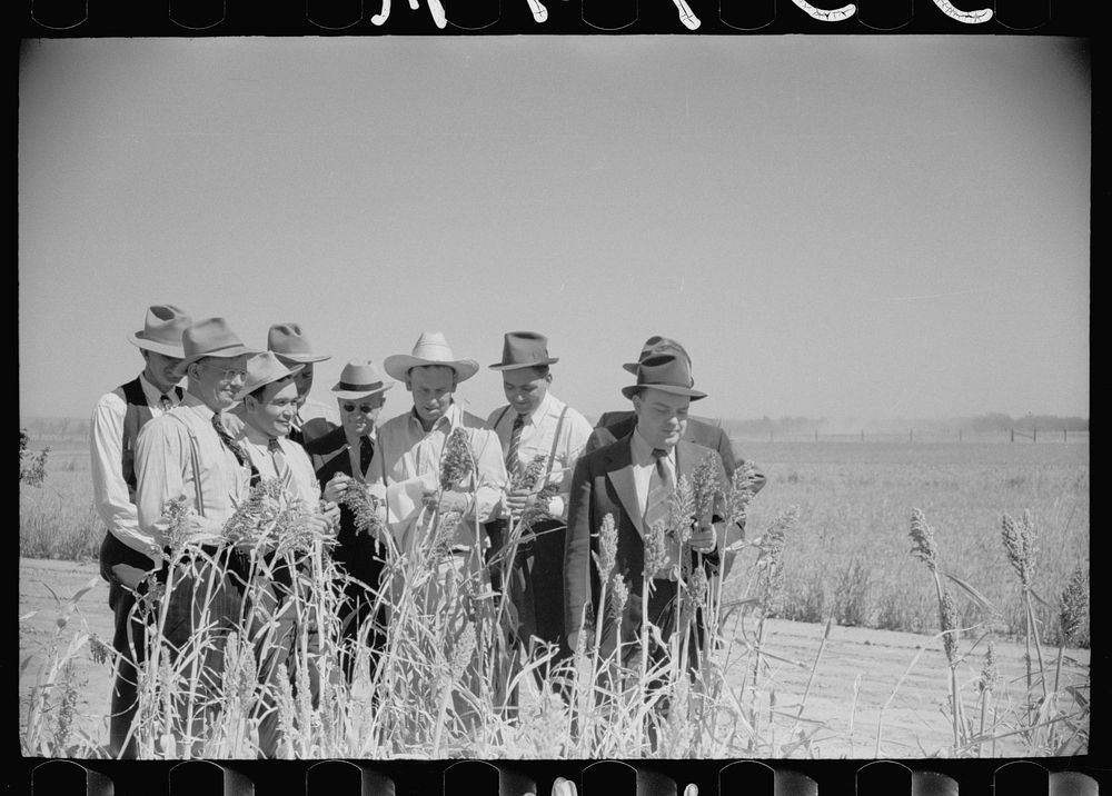 [Untitled photo, possibly related to: FSA (Farm Security Administration) county supervisor at farmers field day at United…