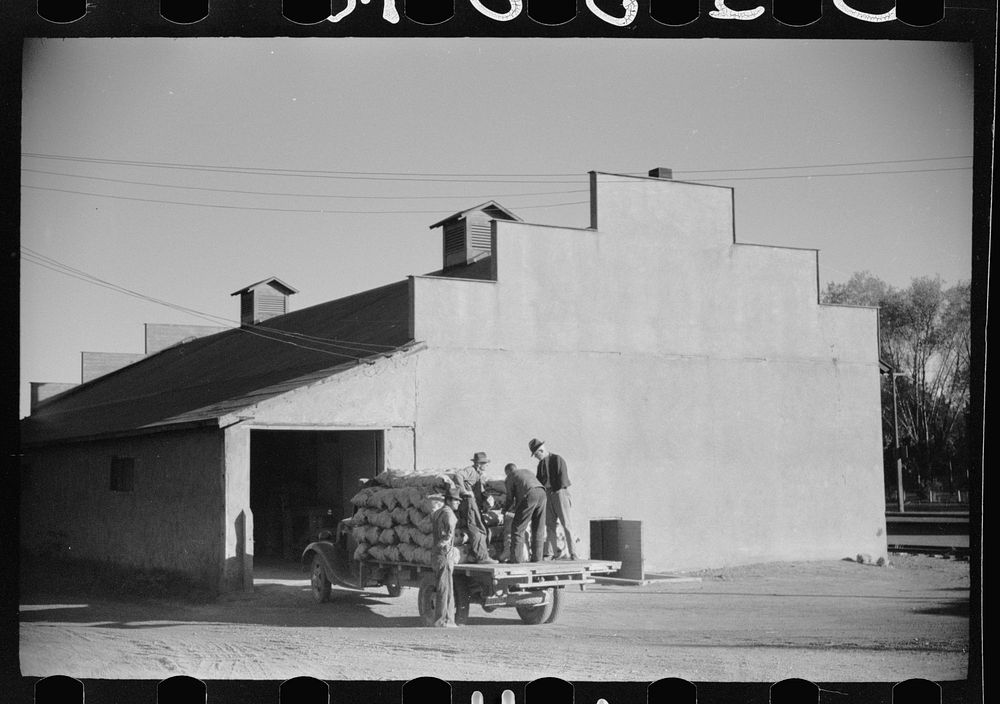 Potato storage and graining warehouse operated by growers' cooperative, Monte Vista, Colorado. Sourced from the Library of…
