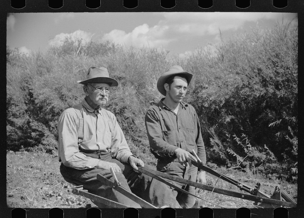 Spanish-American rehabilitation clients working in the field of their farm near San Luis, Colorado. Sourced from the Library…
