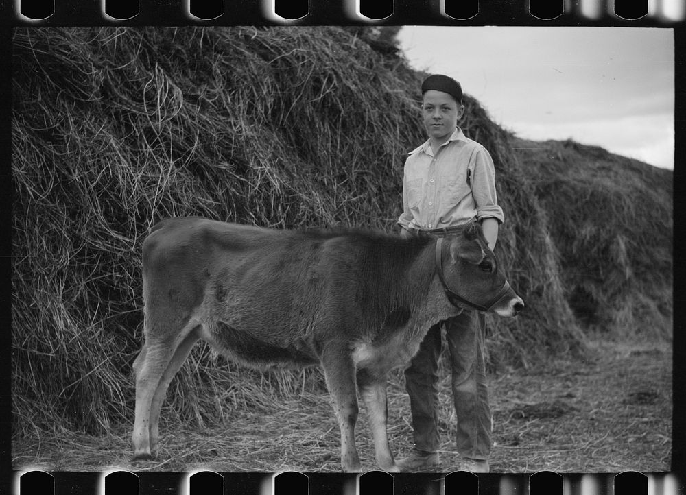 [Untitled photo, possibly related to: Wayne Beede, son of resettlement client, Western Slope Farms, Colorado, poses with his…