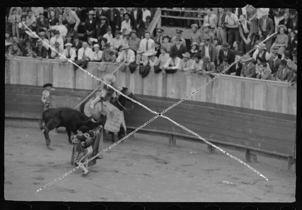 [Untitled photo, possibly related to: Matamoros, Mexico. Death of the bull]. Sourced from the Library of Congress.