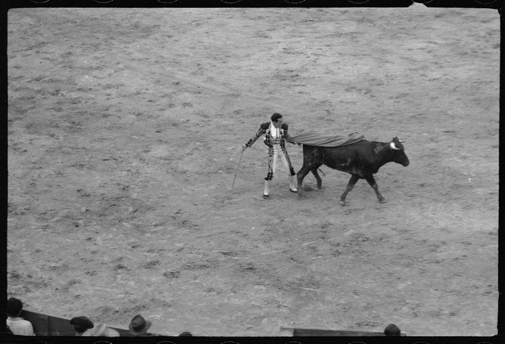 [Untitled photo, possibly related to: Matamoros, Mexico. Death of the bull]. Sourced from the Library of Congress.