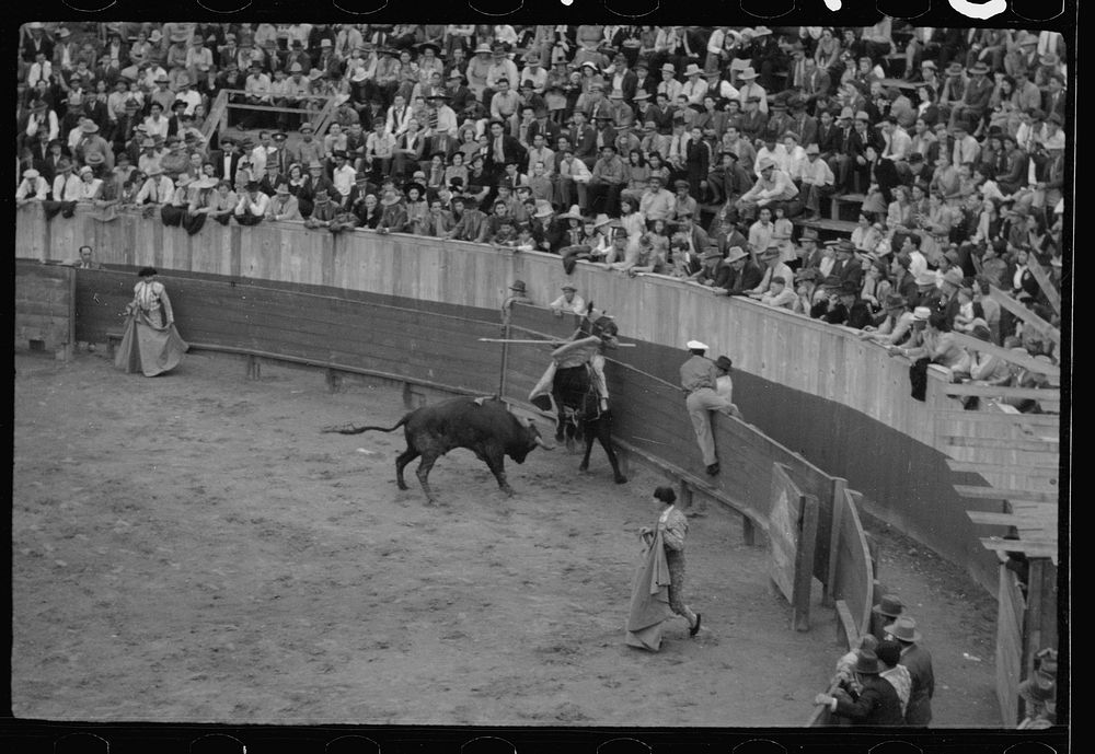 [Untitled photo, possibly related to: A picador, bullfight, Matomoros, Mexico]. Sourced from the Library of Congress.