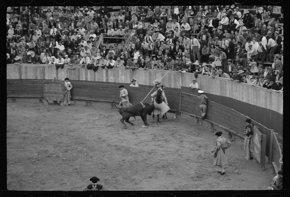 A picador, bullfight, Matomoros, Mexico. Sourced from the Library of Congress.