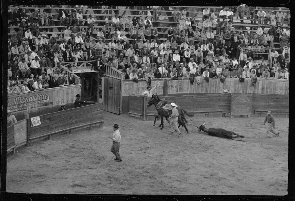 The end, bullfight, Matomoros, Mexico. Sourced from the Library of Congress.