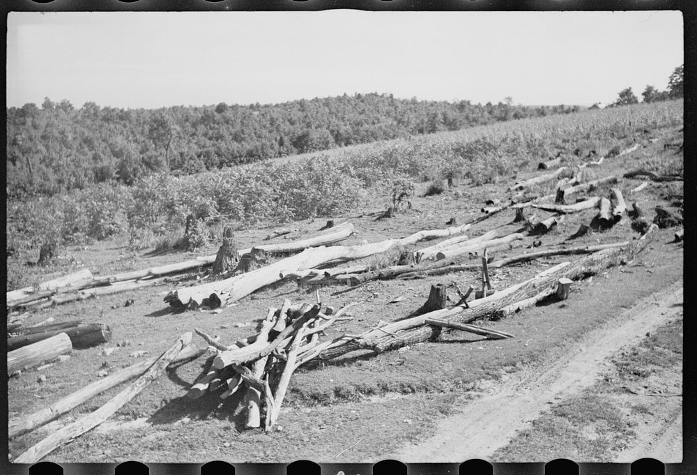 Shows wasteful use of soil, Garrett County, Maryland. Sourced from the Library of Congress.