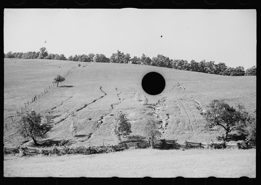 [Untitled photo, possibly related to: Soil erosion, hillside gullied, Garrett County, Maryland]. Sourced from the Library of…