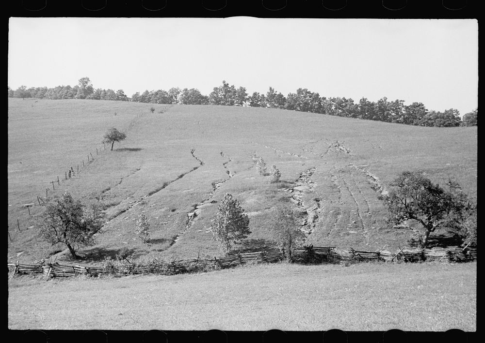 Soil erosion, hillside gullied, Garrett County, Maryland. Sourced from the Library of Congress.