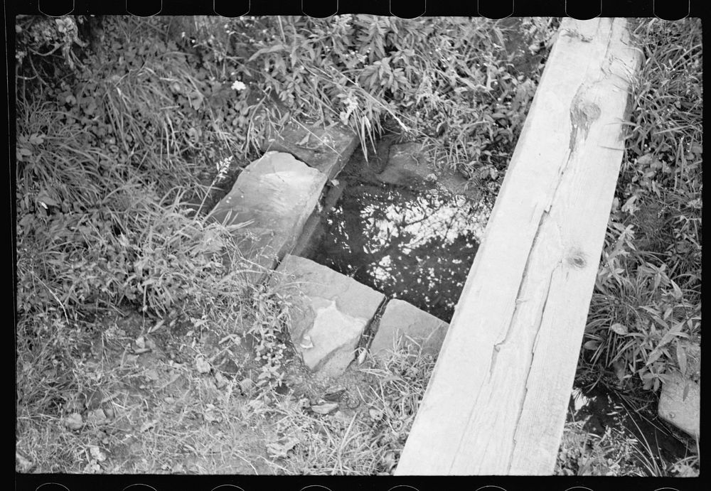 [Untitled photo, possibly related to: Spring, typical water supply, Garrett County, Maryland]. Sourced from the Library of…