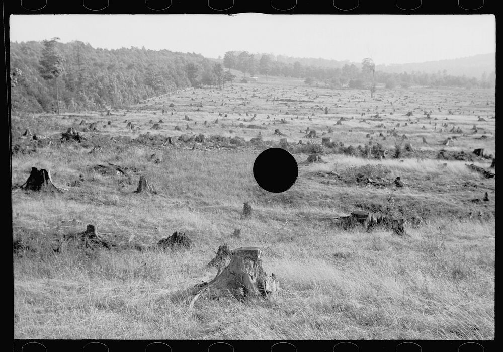 [Untitled photo, possibly related to: Characteristic topography, Garrett County, Maryland]. Sourced from the Library of…