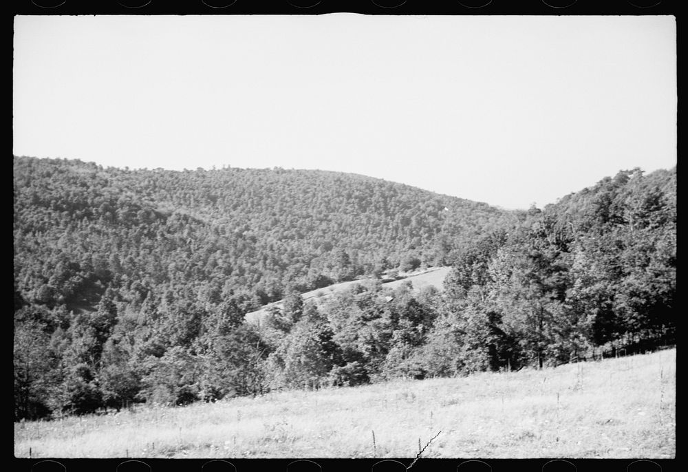 Timber, Garrett County, Maryland. Sourced from the Library of Congress.