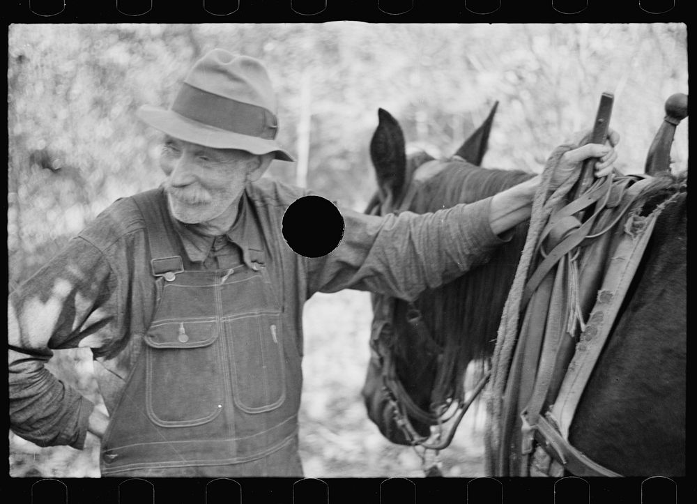 [Untitled photo, possibly related to: Farmer whose timberland has been optioned by the government, Brown County, Indiana].…