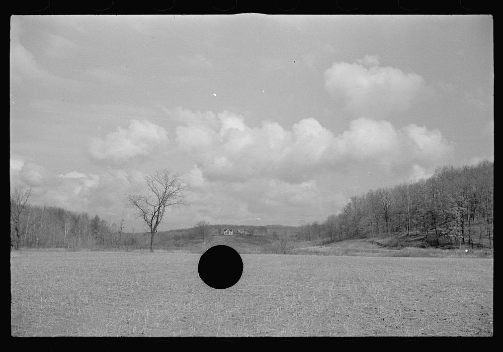 [Untitled photo, possibly related to: View of the resettlement area in Morgan County, Indiana]. Sourced from the Library of…