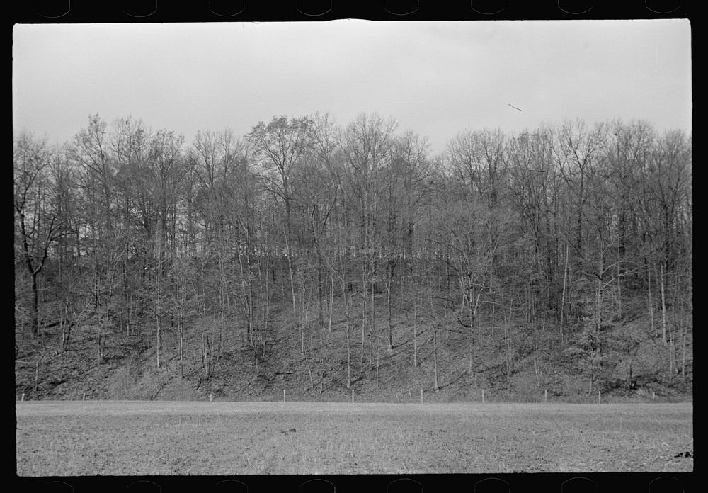 [Untitled photo, possibly related to: View of the resettlement area in Morgan County, Indiana]. Sourced from the Library of…
