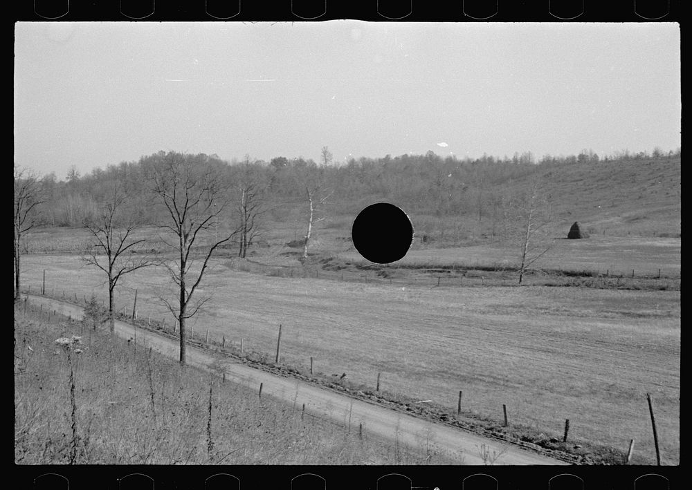 [Untitled photo, possibly related to: Abandoned farmland, Brown County, Indiana]. Sourced from the Library of Congress.
