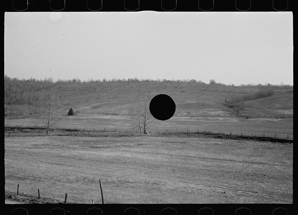 [Untitled photo, possibly related to: Abandoned farmland, Brown County, Indiana]. Sourced from the Library of Congress.