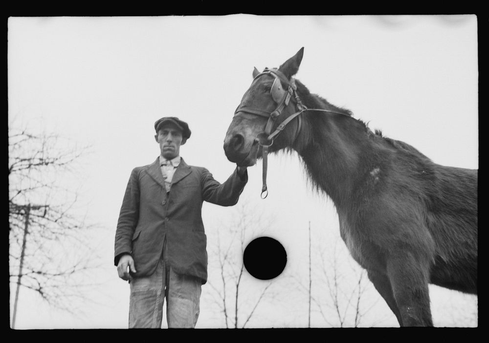 [Untitled photo, possibly related to: Neglected horse owned by rehabilitation client, Jackson County, Ohio]. Sourced from…