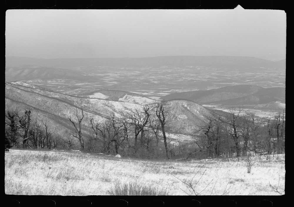 [Untitled photo, possibly related to: Shenandoah National Park, Virginia, Skyline Drive]. Sourced from the Library of…