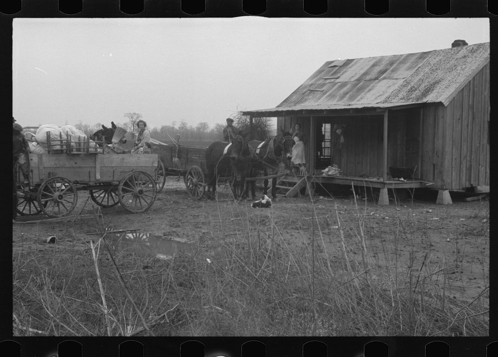 Families move out as rising waters threaten their homes, Ridgeley, Tennessee. Sourced from the Library of Congress.