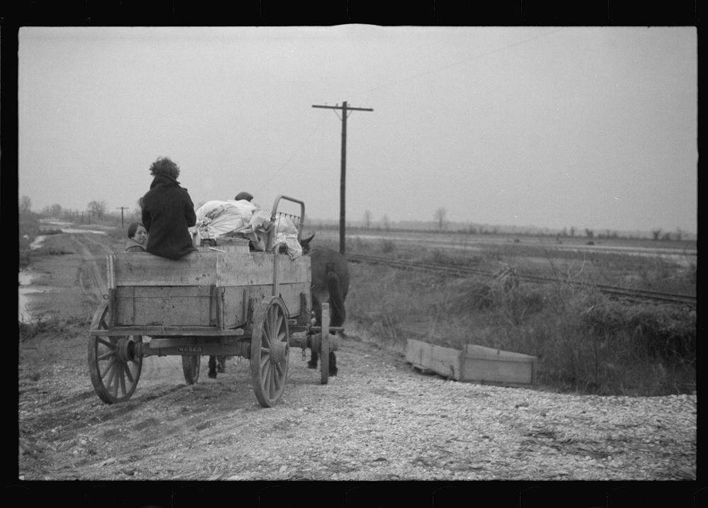 [Untitled photo, possibly related to: Family on the move during the flood of 1937, Ridgeley, Tennessee]. Sourced from the…