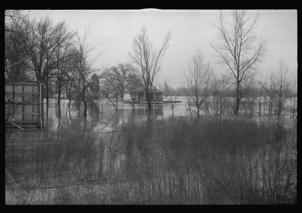 [Untitled photo, possibly related to: Flooded farmland near Ridgeley, Tennessee]. Sourced from the Library of Congress.