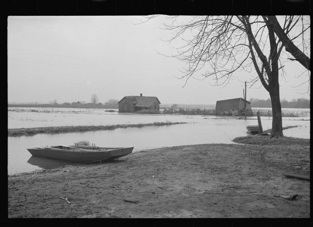 Flooded farmland near Ridgeley, Tennessee. Sourced from the Library of Congress.