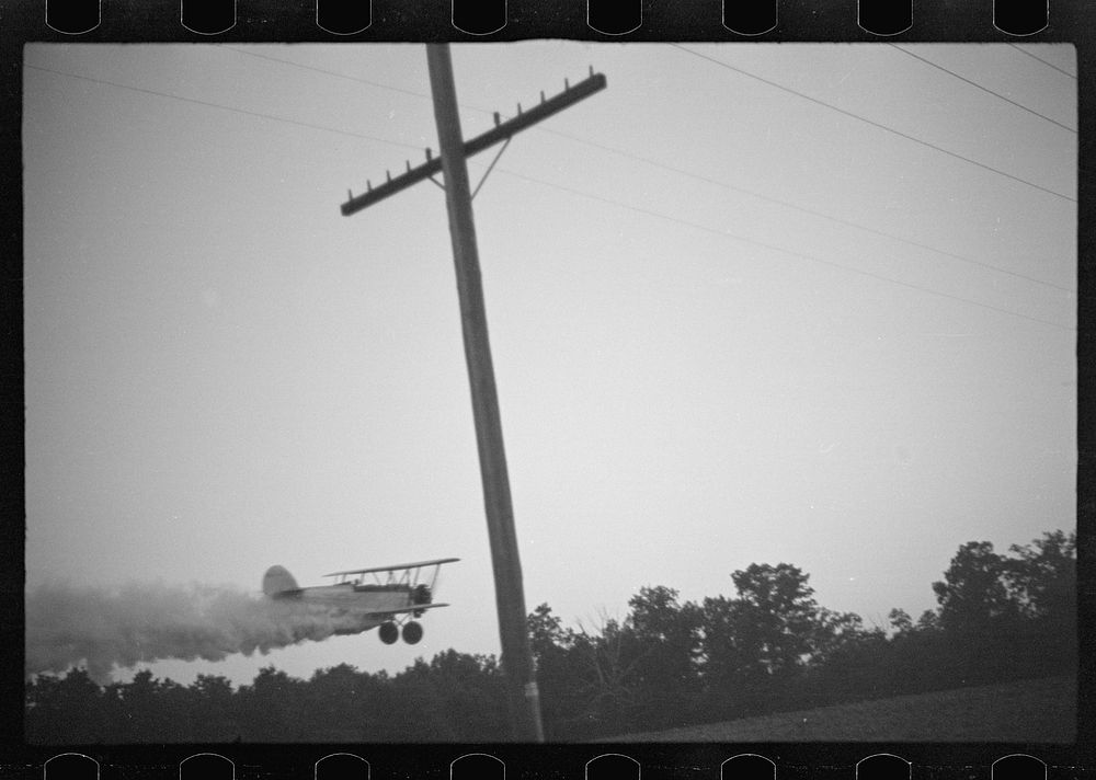 [Untitled photo, possibly related to: "Duster" (plane spraying insecticide) over a field of beans. The mechanic in the…