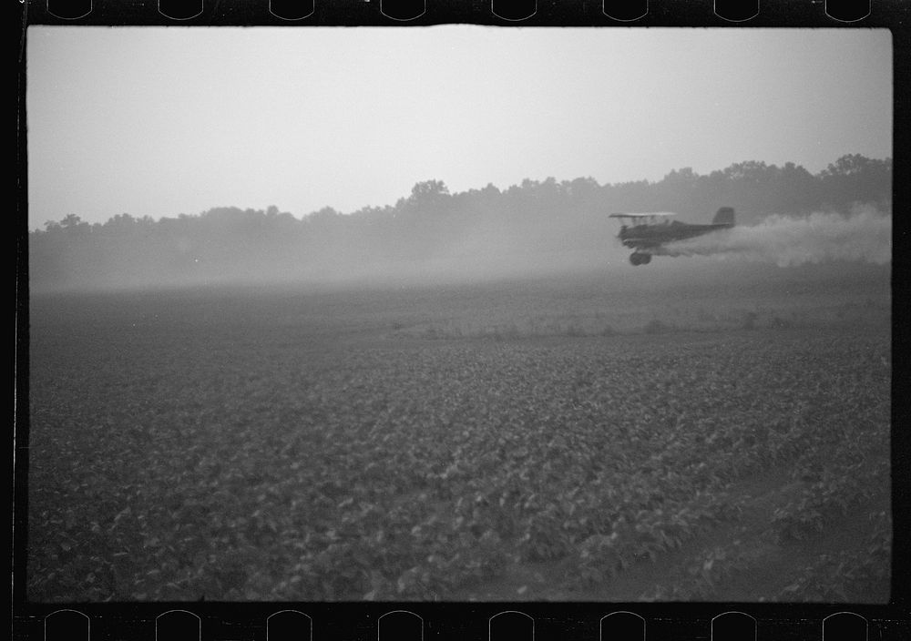[Untitled photo, possibly related to: Dusting planes (agricultural sprayers) fly mainly at dawn and dusk when the wind dies…