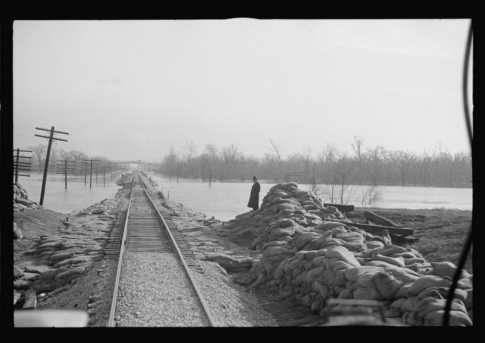 [Untitled photo, possibly related to: View taken from train en route to Forrest City, Arkansas from Memphis, Tennessee…