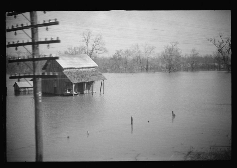 [Untitled photo, possibly related to: View taken from train en route to Forrest City, Arkansas from Memphis, Tennessee…