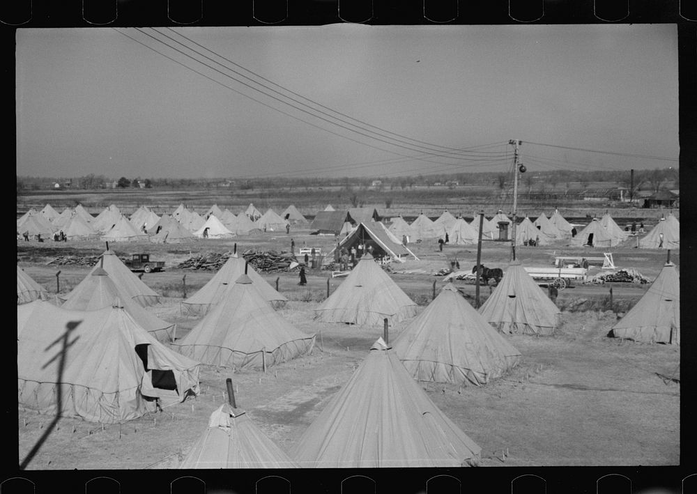 [Untitled photo, possibly related to: A street of tents in the camp for flood refugees of Forrest City, Arkansas]. Sourced…
