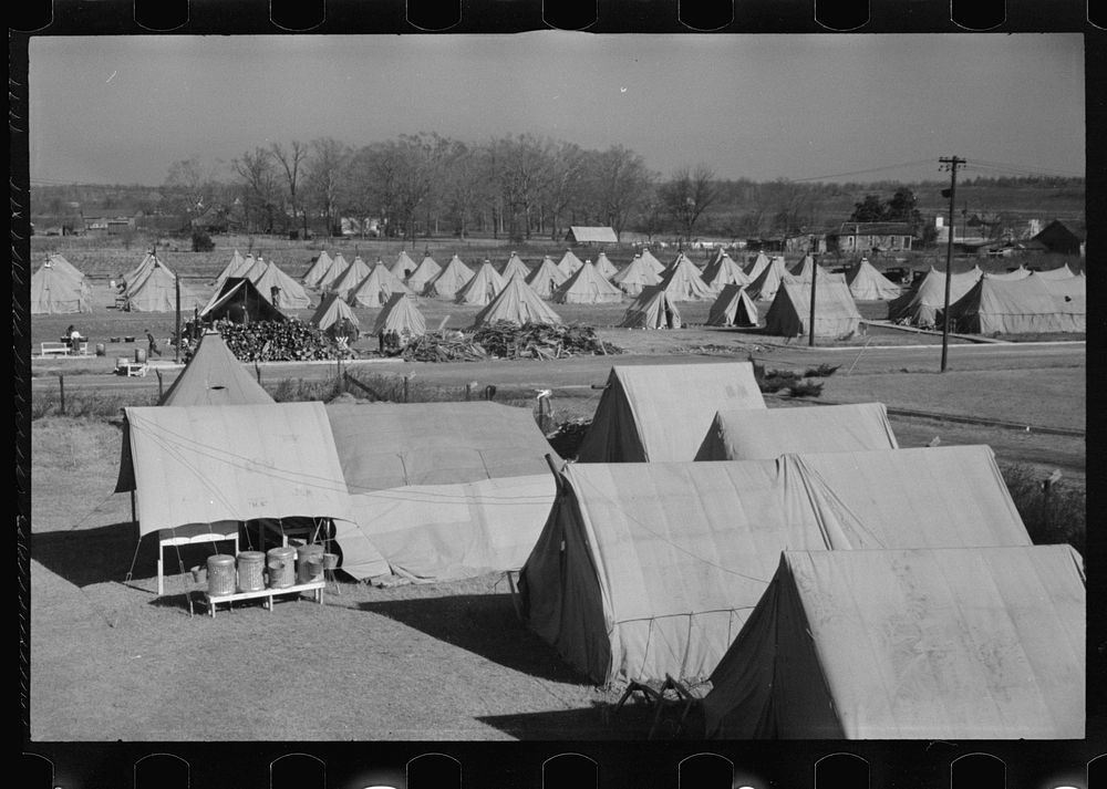 [Untitled photo, possibly related to: A street of tents in the camp for flood refugees of Forrest City, Arkansas]. Sourced…