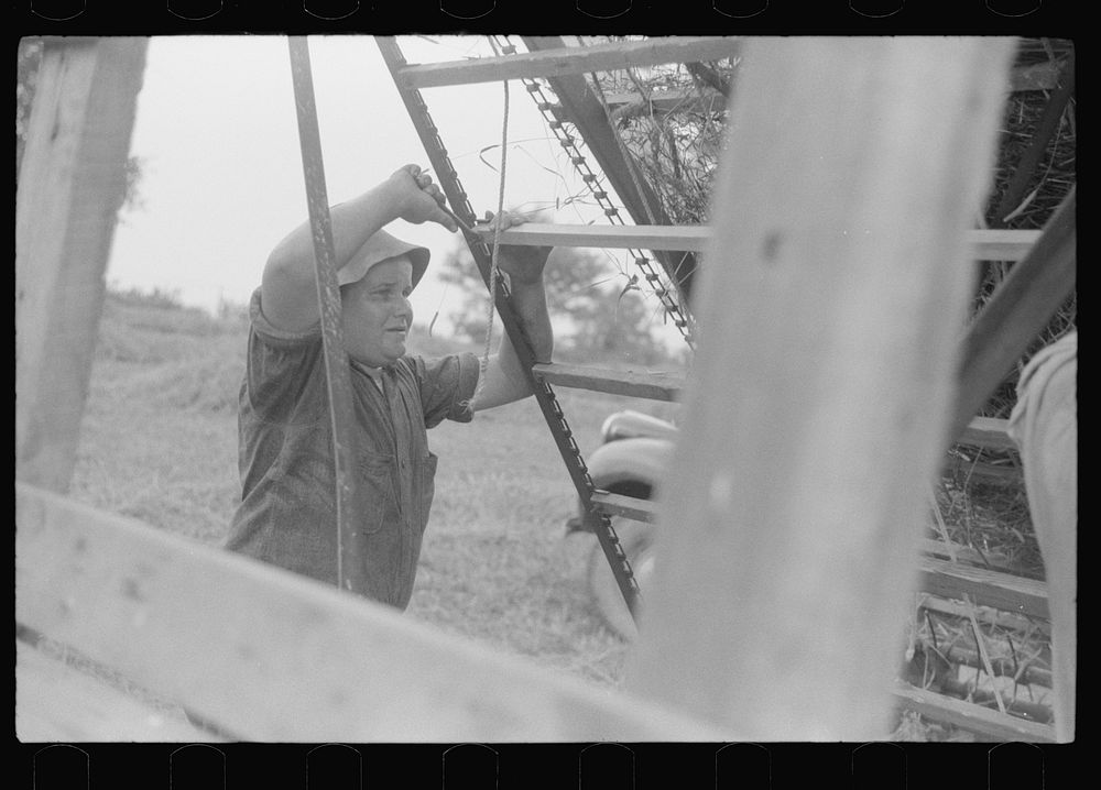 [Untitled photo, possibly related to: Hay harvest near Pine Grove Mills, Pennsylvania]. Sourced from the Library of Congress.