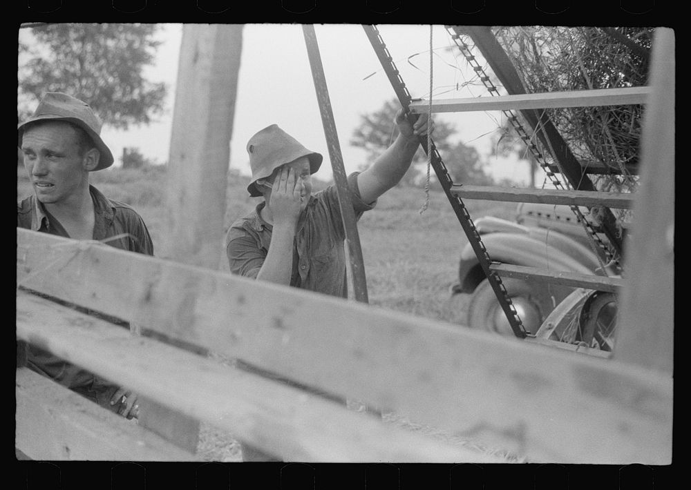 [Untitled photo, possibly related to: Percheron stallion brought to mare for mating, on farm near Pine Grove Mills…