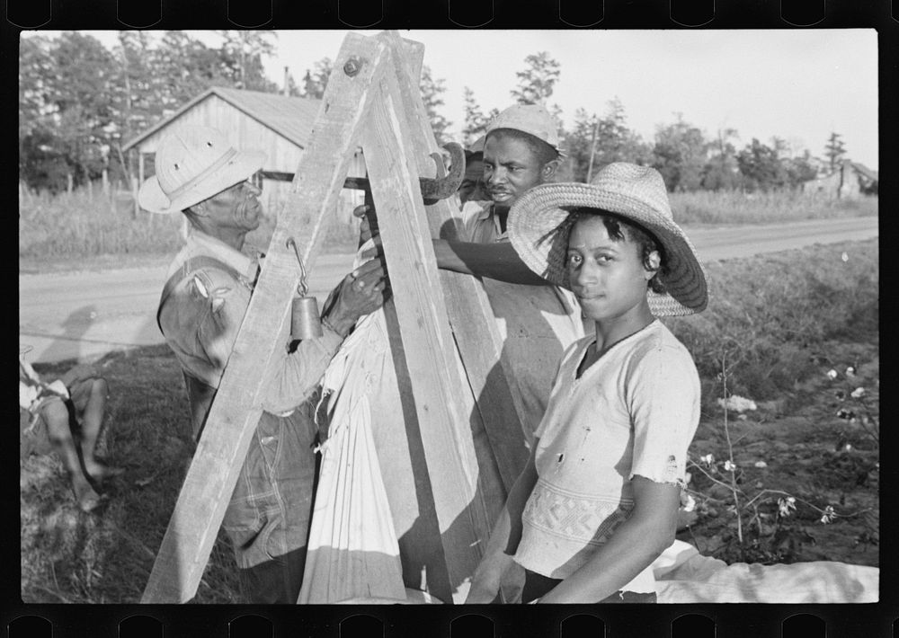 Weighing in cotton, Pulaski County, Arkansas. Sourced from the Library of Congress.