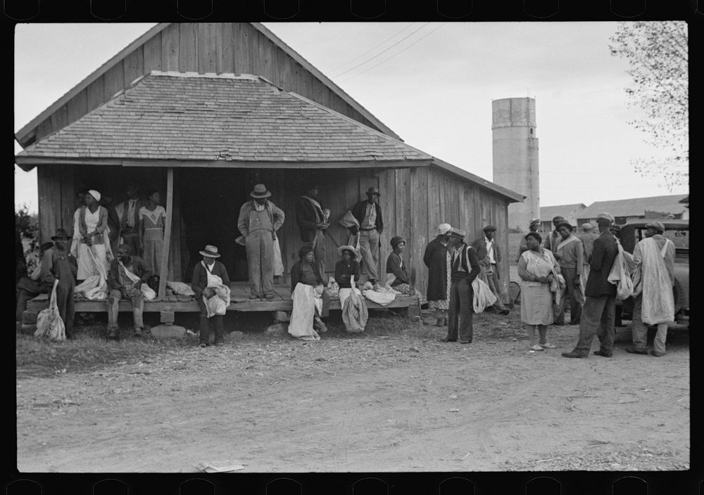 Cotton pickers, Arkansas. Sourced from the Library of Congress.