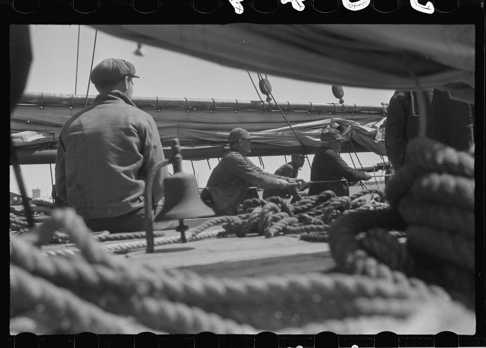 [Untitled photo, possibly related to: Aboard a trap fishing boat. The deck of the boat on the way home. Provincetown…