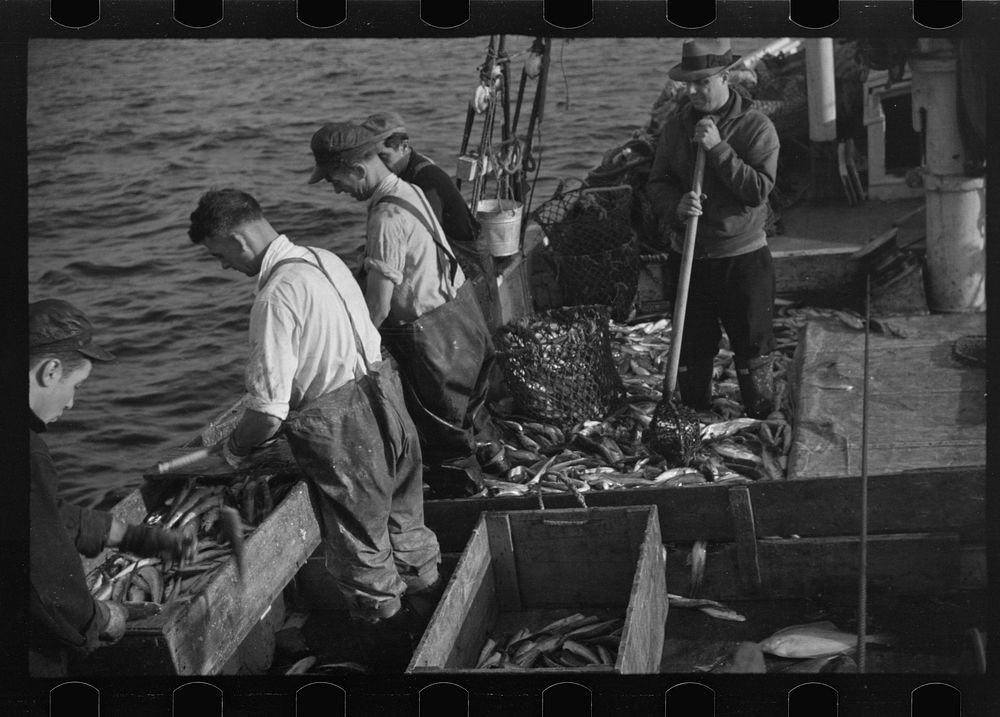 [Untitled photo, possibly related to: Aboard a trawler (locally called a dragger). The power-driven winch lets out the…